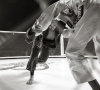 IIBANDOGFIGHT_0995bn