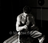 boxer_bn